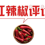 一场春雪映花灯