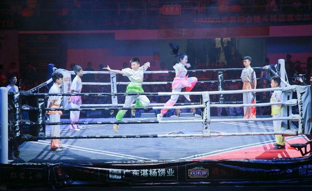 世界综合格斗终极赛中外对抗赛湛江站成功举办