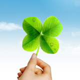 永州市召开“环境整治”战役指挥部全体成员会议