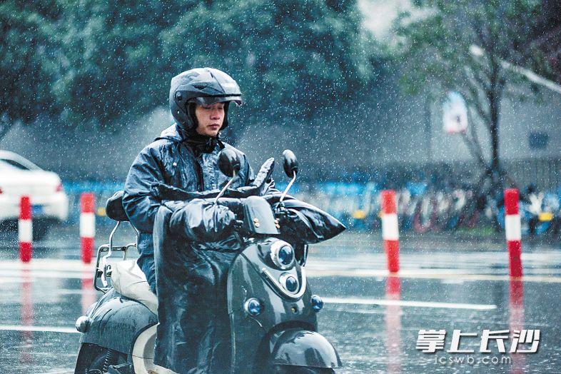 昨日下午,书院南路,市民正冒雨前行。 长沙晚报全媒体记者 陈飞 摄