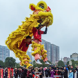 龙腾狮跃闹元宵 东安武术满堂彩