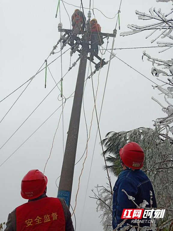 微信图片_20190220094232.marked.jpg