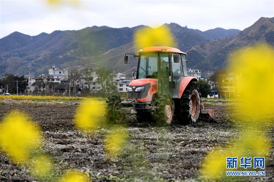 2月20日，在贵州省黔东南苗族侗族自治州榕江县忠诚镇安乐村，村民驾驶农用机械劳作。 新华社发（王炳真 摄）