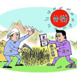 “一号文件” 吹响了绿满神州“春的号角”