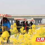 回望,确认的眼神|乡村振兴富且美 望城故事讲起来