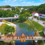 做好线上线下融合 激活传统农业一池“活水”