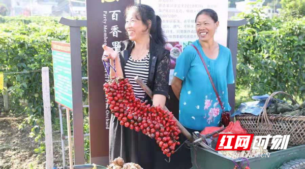 美好双牌正扬帆