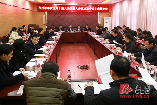【县区两会】区十届人大三次会议举行主席团第一次会议