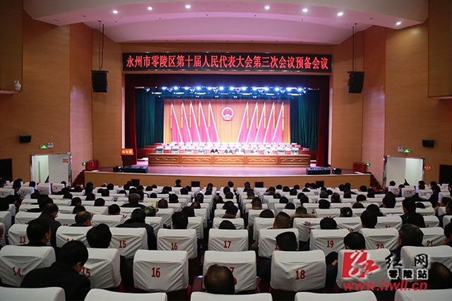 【县区两会】区十届人大三次会议举行预备会议