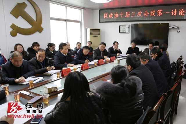 区县两会丨唐烨参加区政协教育科技界和文艺体育界分组讨论