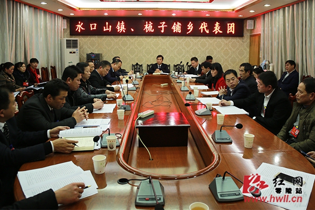 区县两会丨吴恢才参加水口山、梳子铺代表团审议