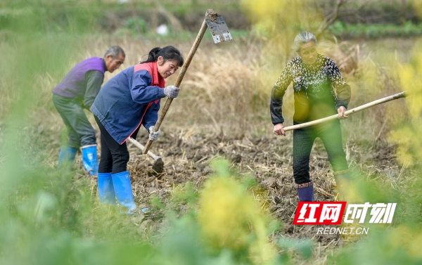 道县：初春农事忙