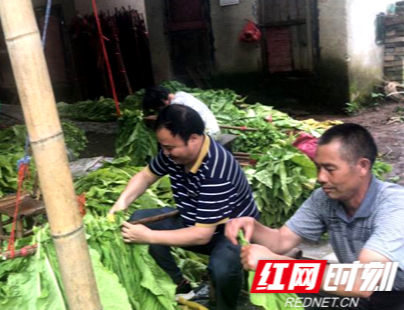 手牵手拔“穷根” 邵阳市国土资源局驻村帮扶铺出脱贫致富坦途