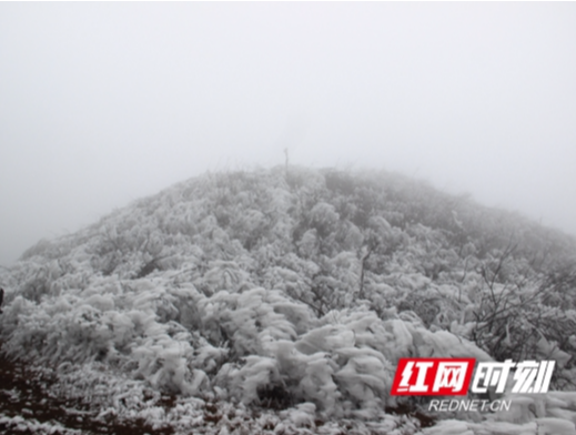 城步威溪乡：现雪凇奇观  似冰雪仙境