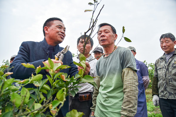 农技专家深入田间地头讲技术并进行现场示范。_副本.jpg