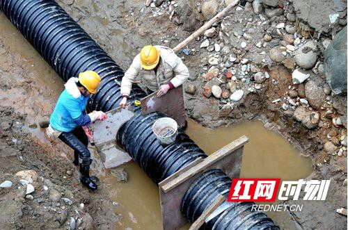 2.marked.jpg 2.marked.jpg