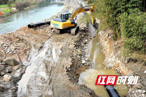 1.marked.jpg 1.marked.jpg