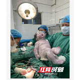 11.6斤！娄底诞生罕见巨大“猪宝宝”
