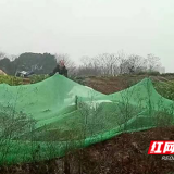 24小时巡查治理 为33处裸露黄土铺上“新衣”