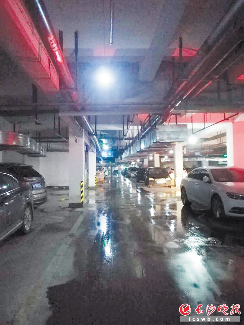 　　在雨花区黎郡新宇太和园小区，地下车库地面积水较多。  长沙晚报全媒体记者 谢春年 实习生 何慧婧 摄影报道