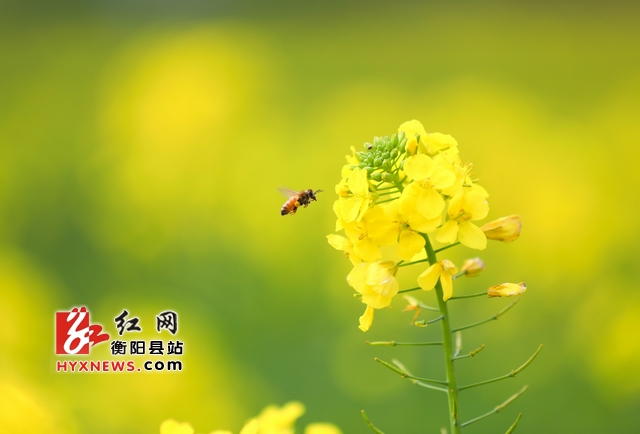 3S9A5731.jpg