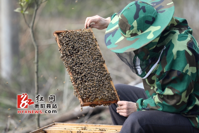 微信图片_20190226105231.jpg