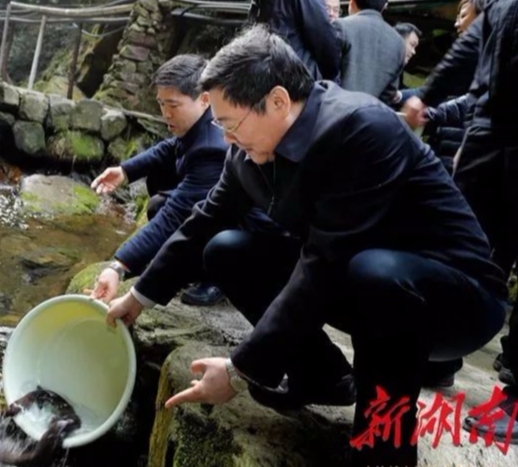 刚治湘江水，又放娃娃鱼，生态湖南春潮涌