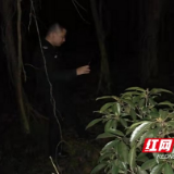 蛛丝马迹难逃火眼金睛 民警速破交通肇事逃逸案