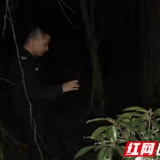 38小时破获“无现场”案件 这个交警有一双“火眼金睛”