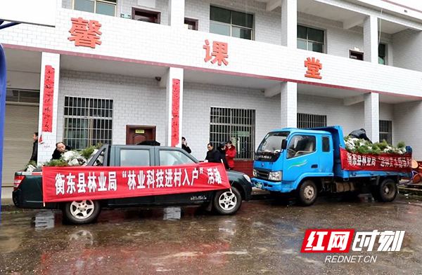 “争取早日吃上‘绿色饭’”衡东百万苗木进农家促贫困户增收