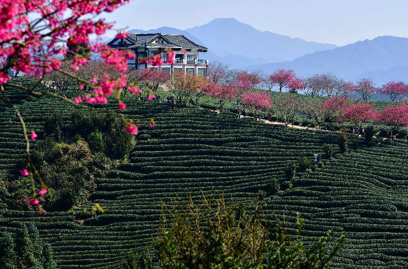 迎接两会丨乡村振兴好风景
