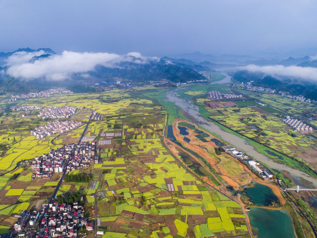 迎接两会丨乡村振兴好风景