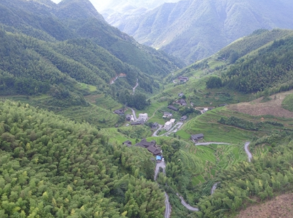 邵阳:将今年3月确定为全民义务植树活动月