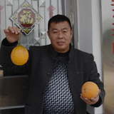 永州最美农民大学生雷洋武:小瓜蒌变身乡村振兴大产业