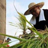 【国内经济】商务部：推动农产品在田头就变成高附加值商品