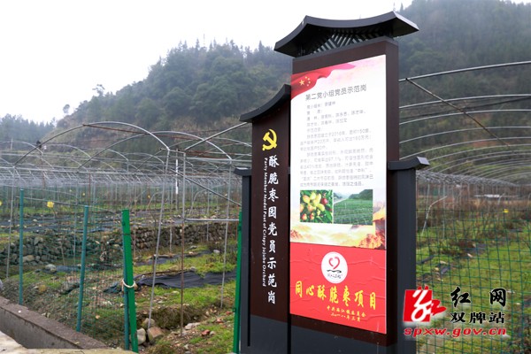 双牌 “六聚六推”田园党建引领乡村振兴