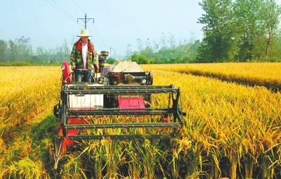 湖南省政府发布推进农业“百千万”工程意见 提出四大目标