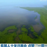多国人士关注两会 点赞“一带一路”