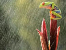 明起湖南再迎降水 湘中以南局地暴雨