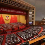 这8个字引发代表委员热议，有啥玄机？