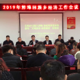 桃江鲊埠：实施乡村振兴战略 推动高质量发展  