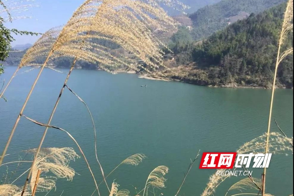 微信图片_20190304215243.jpg