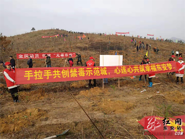 东安：开展公益植树禁毒宣传活动