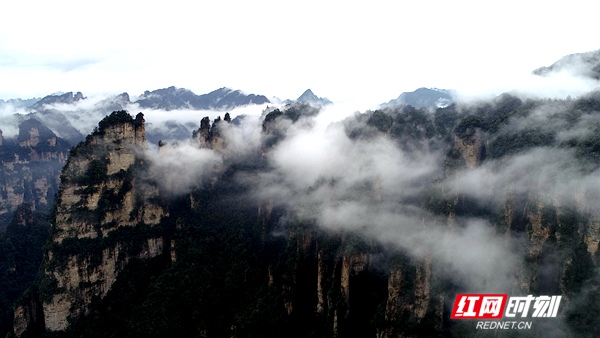 3月5日，雨后的湖南张家界武陵源风景区十里画廊，连绵峰林在云雾的点缀之下若隐若现，朦胧迷离，通过无人机从空中俯瞰宛若一幅徐徐展开的画卷。