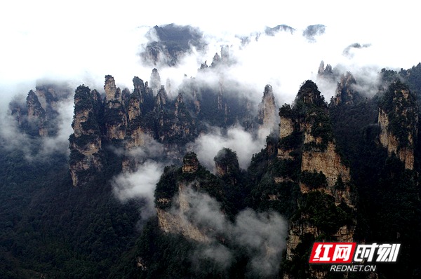 3月5日，雨后的湖南张家界武陵源风景区十里画廊，连绵峰林在云雾的点缀之下若隐若现，朦胧迷离，通过无人机从空中俯瞰宛若一幅徐徐展开的画卷。