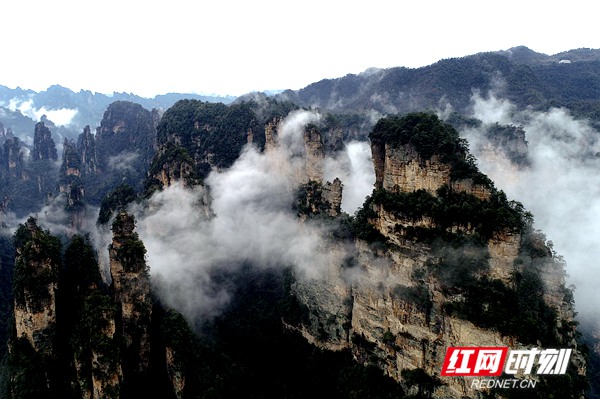 3月5日，雨后的湖南张家界武陵源风景区十里画廊，连绵峰林在云雾的点缀之下若隐若现，朦胧迷离，通过无人机从空中俯瞰宛若一幅徐徐展开的画卷。