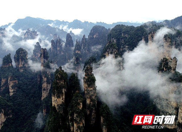 3月5日，雨后的湖南张家界武陵源风景区十里画廊，连绵峰林在云雾的点缀之下若隐若现，朦胧迷离，通过无人机从空中俯瞰宛若一幅徐徐展开的画卷。