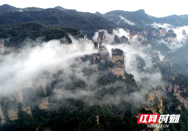 3月5日，雨后的湖南张家界武陵源风景区十里画廊，连绵峰林在云雾的点缀之下若隐若现，朦胧迷离，通过无人机从空中俯瞰宛若一幅徐徐展开的画卷。