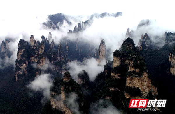 3月5日，雨后的湖南张家界武陵源风景区十里画廊，连绵峰林在云雾的点缀之下若隐若现，朦胧迷离，通过无人机从空中俯瞰宛若一幅徐徐展开的画卷。