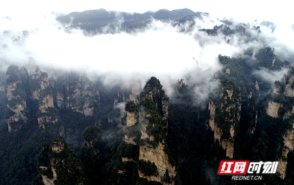 3月5日，雨后的湖南张家界武陵源风景区十里画廊，连绵峰林在云雾的点缀之下若隐若现，朦胧迷离，通过无人机从空中俯瞰宛若一幅徐徐展开的画卷。